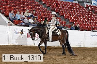 11buck_1310 proof