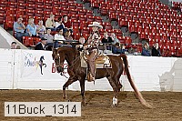 11buck_1314 proof