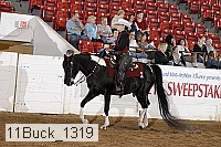 11buck_1319 proof