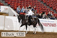 11buck_1320 proof
