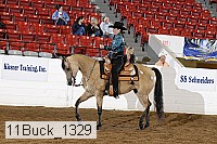 11buck_1329 proof