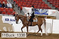 11buck_1338 proof