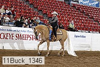 11buck_1346 proof