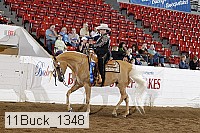11buck_1348 proof