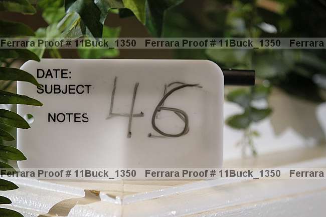 Proof 11buck_1350