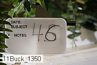 11buck_1350 proof