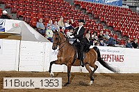 11buck_1353 proof