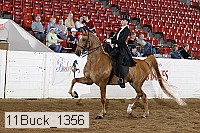 11buck_1356 proof