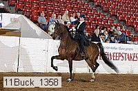 11buck_1358 proof