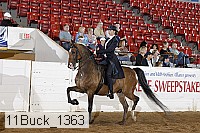 11buck_1363 proof