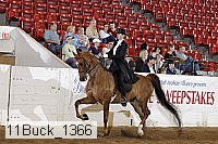 11buck_1366 proof