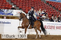 11buck_1369 proof
