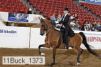11buck_1373 proof