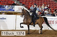 11buck_1374 proof