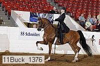11buck_1376 proof