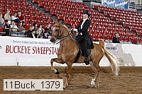 11buck_1379 proof