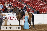 11buck_1380 proof
