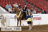 11buck_1385 proof