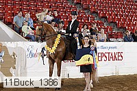 11buck_1386 proof