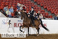 11buck_1392 proof