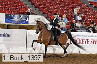11buck_1397 proof
