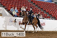 11buck_1400 proof