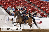 11buck_1402 proof