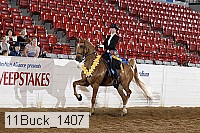 11buck_1407 proof