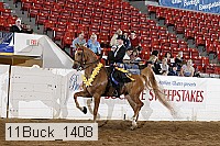 11buck_1408 proof