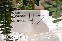 11buck_1411 proof