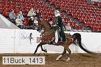 11buck_1413 proof
