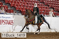 11buck_1419 proof