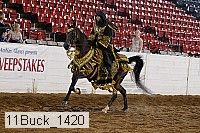 11buck_1420 proof