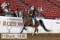 11buck_1438 proof