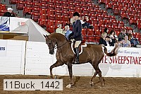 11buck_1442 proof