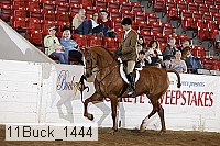 11buck_1444 proof