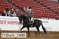 11buck_1448 proof