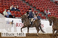 11buck_1451 proof