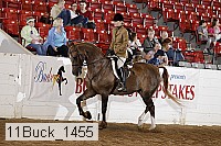 11buck_1455 proof