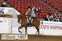 11buck_1457 proof