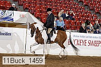 11buck_1459 proof