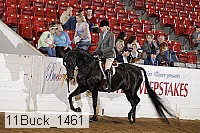 11buck_1461 proof