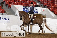 11buck_1464 proof