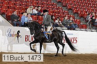 11buck_1473 proof