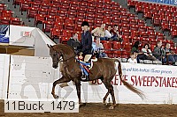 11buck_1479 proof