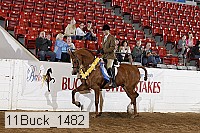 11buck_1482 proof