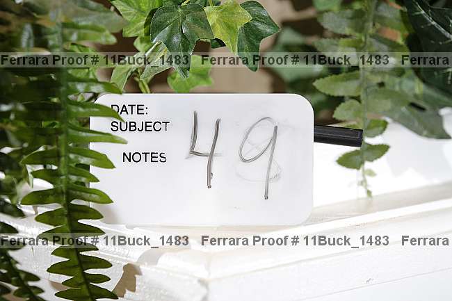 Proof 11buck_1483