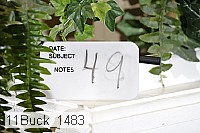 11buck_1483 proof