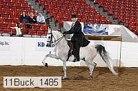 11buck_1485 proof