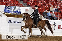 11buck_1487 proof